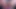 Polonyalı Femboy yeni renkli bir dildo sürüyor, küçük penisi daireler çizene kadar.
