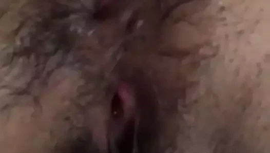 Ano bello e peloso xx