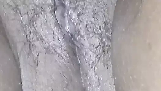 karanlık kedi tolick