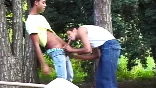 açık horoz emme brezilyalılar