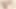 Dildoyu taktıktan sonra, üvey oğluma beni ilk kez sikmesi için izin veriyorum.