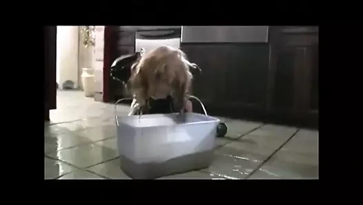 Lateks ile kafa paspası (iyi temizlik)