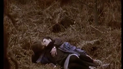 hamster sevenler rehberi