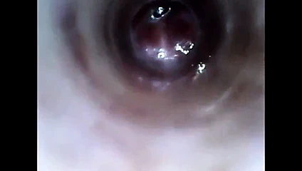 kam derin tanıtan tüp ile horoz endoskop içine bak