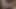 Peru'da bir üniversitede porno oyuncu seçmeleri