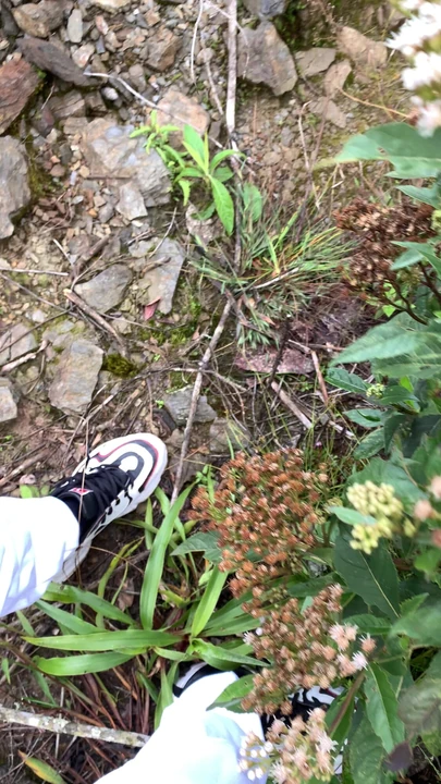 Что бы ты сделал, если бы шел, и нашел меня такой?