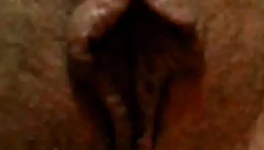 Pakistan sevimli kedi