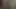sarışın istiyor cunni
