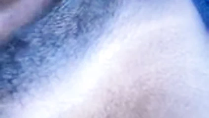 Png bates yapışkan ıslak kedi