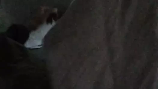 DC silindirden arka koltuk kafası