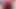 pembe külot teaser
