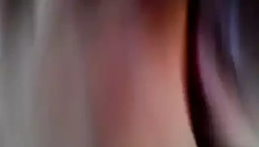 Carolina yarasası. ovuşturarak onu kedi