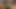 Ed güçler alır bir latina kız içine seks video