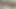 Komşu emiyor ve döl yutuyor