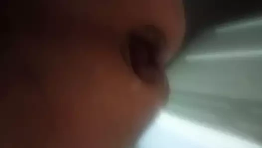 Eşek