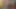 Dört seksi kızla striptiz yüksek kart heyecanlı bir oyun