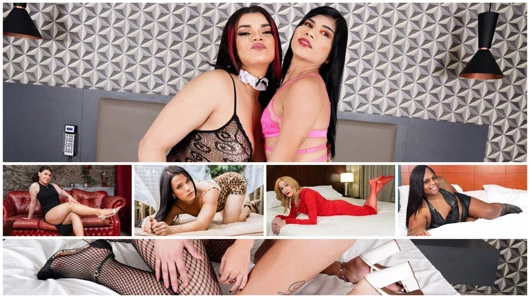 Grooby club - derleme güncellemeleri 23- 27 Eylül '24