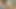 I paid the landlord of the house where I live with sex he spilled his load inside me.