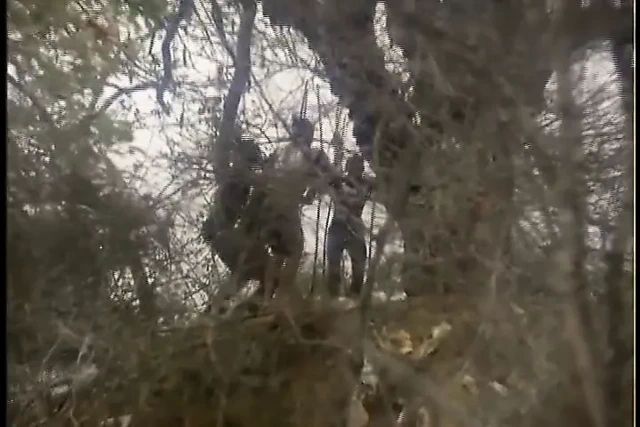 Afrika masturbation.mp4