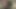 Travesti eğiliyor ve sıkı götünü yalatıyor ve deliniyor
