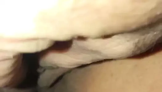 Gösterilen benim kedi kapalı