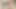 Hayallerinizdeki en mükemmel kız yüzünü sikiyor