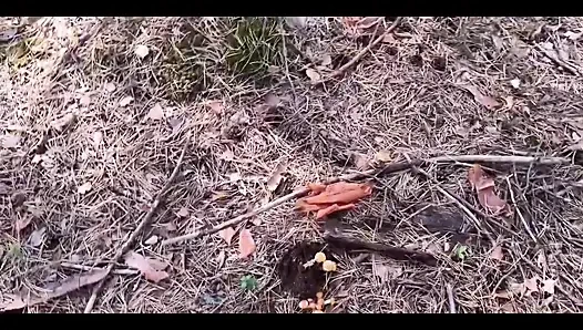 Yürüyüş sert sikişle sona erdi