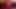 Seksi porno emy reyes kedi parmaklı ve yaladı