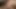 Seksi küçücük minyon spinner dixie bu sybi üzerinde gerçek bir orgam var
