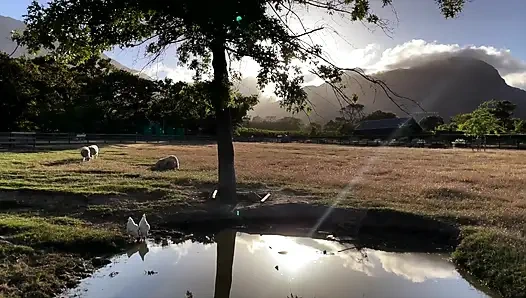 Dominatrix sahibe April - kölemle tatil