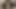 Hintli köylü desi yeni evli çift seks videosu