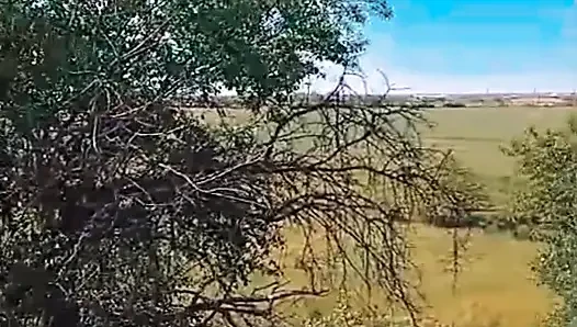 WillyAlexandruPetre videosu
