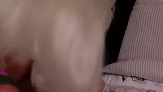 Brit morgan verir ona patron bir bj