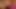 Sexybunnyx0x 15.01.2021