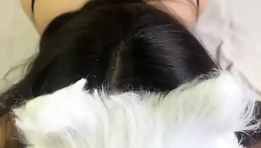 Bugün süt isteyen yaramaz bir kedi yavrusuyum