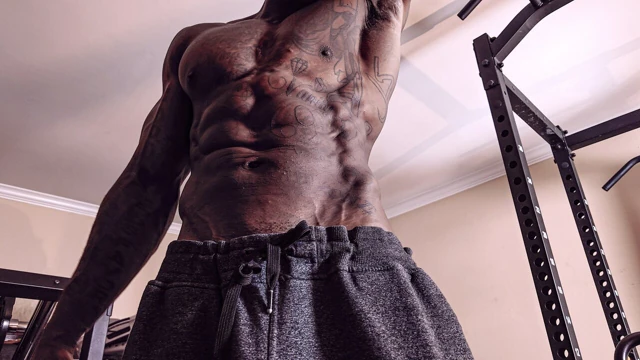 Hallelujah johnson, evrensel fırlatma ve havacı et ışığı ile