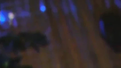 Xxx vcd porno 22 - iyi kalite