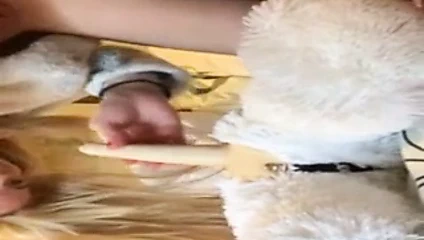 Toplam boyun eğme - bir garip tarafından arka sokakta kıçını becerdin alır