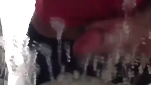 Mecos en el Espejo