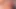 Federica, Sandra Del Marco, bir camelia love göt seksi