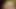 Seksi sarışın genç erkek avcısı büyük yarakla prezervatifsiz sikiliyor ve ağzına boşalıyor kaltak