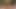 Kadın kılıklı di büyük siyah dildo emiyor