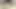 Sapık Üvey Kız Kardeş, Orgazma Ulaşmak İçin Üvey Erkek Kardeşini Kullanıyor! POV Cowgirl