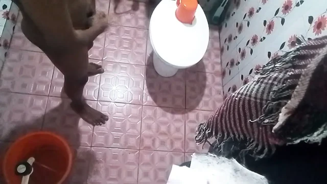 üniversiteli adam Yurt banyosunda mastürbasyon