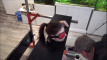 Video ön izlemesi