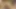 Seksi hizmetçi kostümlü ince güzellik cesur ve samimi bir son sahneyle bitiyor