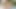 Latinleche - iki seksi latino çıtçıt tahrik edici bir oyun oynuyor