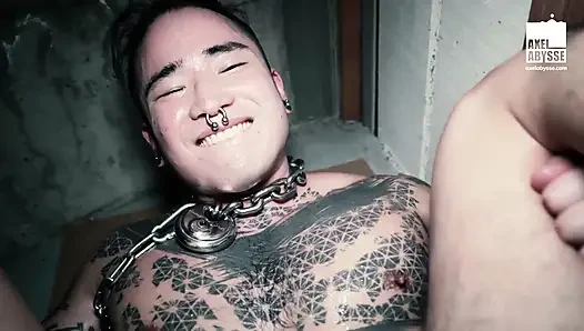 Bağlı Yoshi Kawasaki götünde dildo kullanarak ustaya itaat ediyor