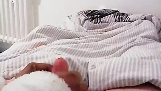 Mutlu son ile sıcak abanoz kız tarafından handjob (küçük beyaz çük)