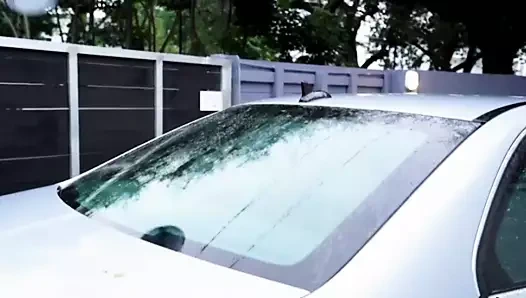 Bangbros - joslyn tam sahnede sikini domine ediyor